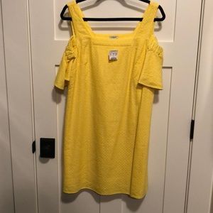 NWT J. Crew dress